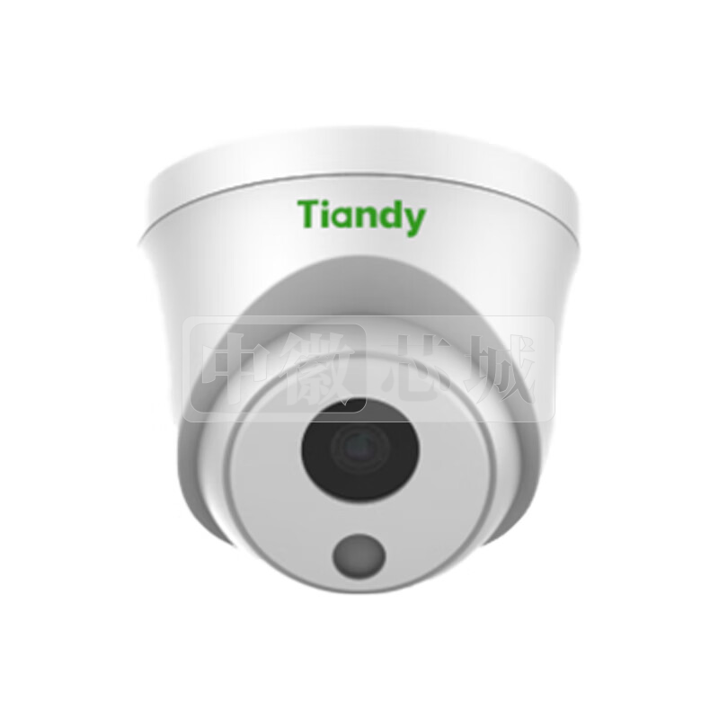 天地伟业 200万红外半球机 音频摄像头 TC-C12HN  - I3/Y/(2.8/4/6mm)
